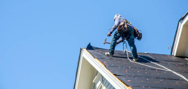 Best Roof Gutter Cleaning  in Mount Washington, KY